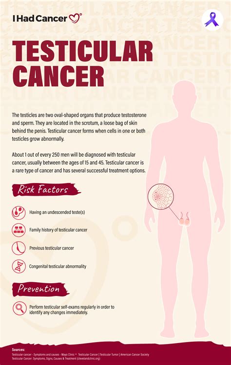 What is Testicular Cancer? | IHadCancer