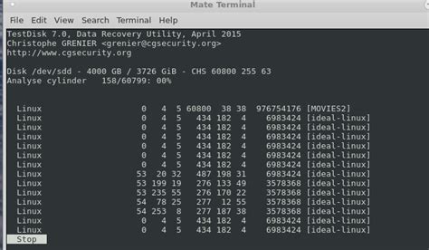 Testdisk Linux Mint Deadgar