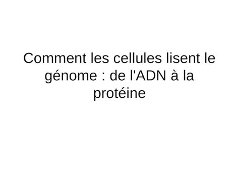 Ppt Comment Les Cellules Lisent Le G Nome De L Adn La Prot Ine