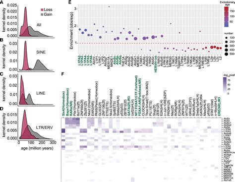 Loss of epigenetic suppression of retrotransposons with oncogenic potential in aging mammary ...