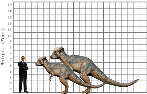 My Pachycephalosaurus size comparison by EthanThomas2022 on DeviantArt