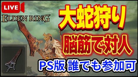 【エルデンリング】ps版誰でも参加可！大蛇狩りで決闘配信【elden Ring】【生放送】【対人戦】【ver110】 Youtube