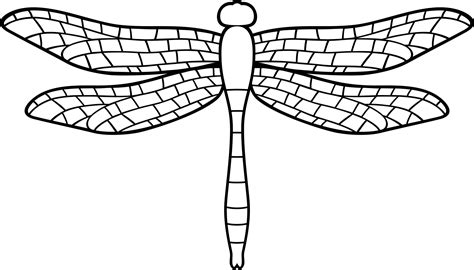 Dragonfly Insect Black And White Png Illustration 8513372 Png