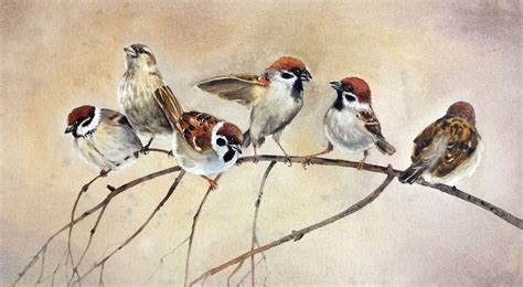 Battle The Sparrows Sparrow Bird Watercolor Sparrows Watercolour By