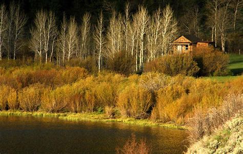 Montana Cabin Rentals