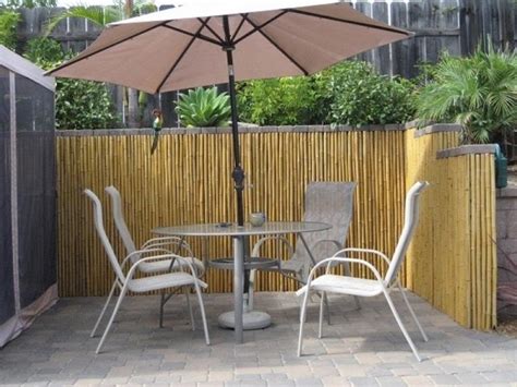 Fence screening ideas and tips for privacy in the garden