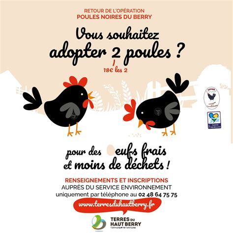 Retour de l opération Poules noires du Berry Saint Martin d Auxigny