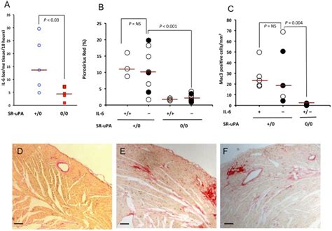 A Il 6 Concentrations In Explant Culture Media From Hearts Of