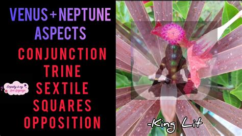 Venus Neptune Aspects Conjunction Trine Sextile Squares Opposition Youtube