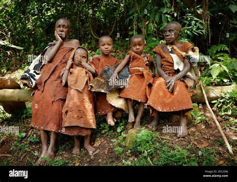 Pygmies Hi Res Stock Photography And Images Alamy