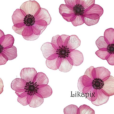 Pink Anemones Seamless Pattern Instant Download Vibrant Watercolor