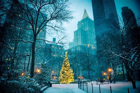 Les plus beaux sapins de Noël au monde Civitatis