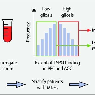 Stratification Of Patients Using TSPO Imaging For Putative