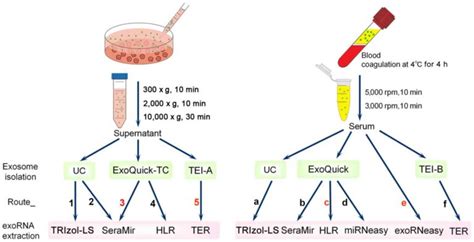 Exosome Isolation Kit for Cell Culture Supernatant | Microscopy for Lab research