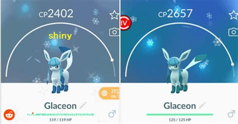 Glaceon from lure, Shiny vs Normal. : TheSilphRoad