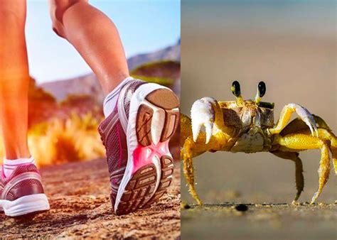 OJO Caminar como el cangrejo hacia atrás deja beneficios a tu