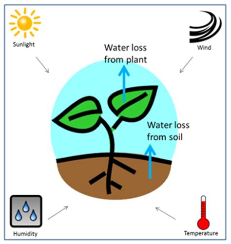 What To Know About Evapotranspiration And How To Use It To Schedule