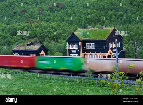 wooden railway station with roofplanting at Dovrefjell National Park ...