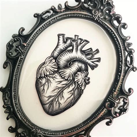 Exclusive Anatomical Heart Tattoo Files – IMAGELLA