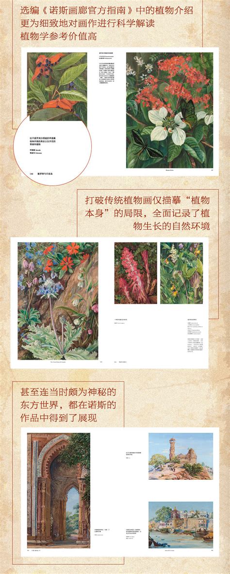 英國皇家植物園邱園官方授權【花朵與探險：瑪麗安娜·諾斯的藝術世界 】重達236公斤