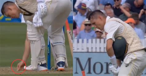 Ashes 2023 [WATCH]: Marnus Labuschagne puts dropped chewing gum back in ...