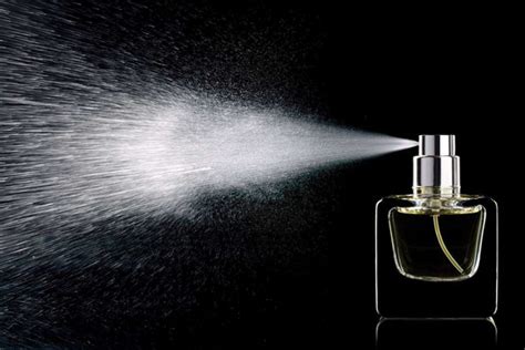 Elevate Your Scent Game Understanding Perfume And How To Make It Last Longer Your Perfume Shop