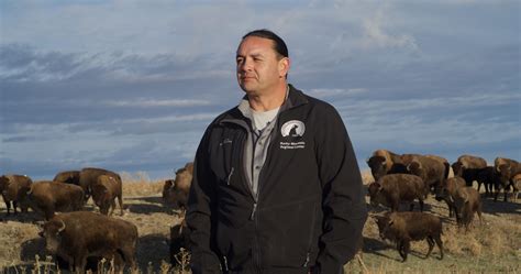 Bison on Wind River – Western Confluence