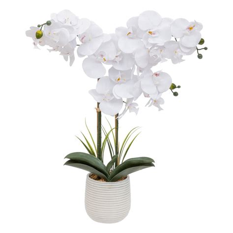 Orchid E Artificielle Riva Blanche Plantes Artificielles Pas Cher