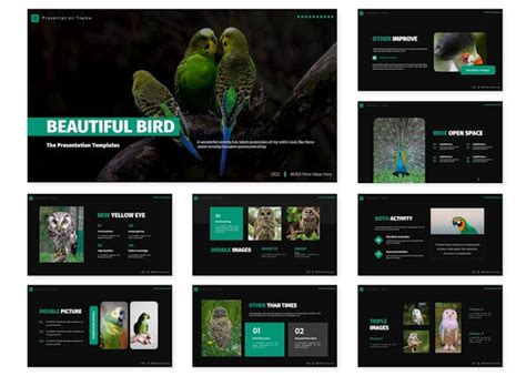 Beautiful Bird | Powerpoint Template - Design Template Place