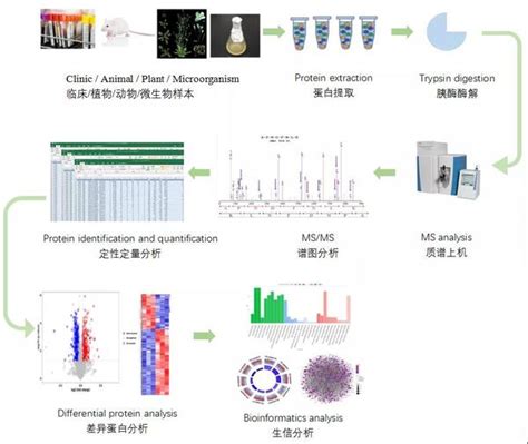 Label Free非标记定量蛋白质组研究 知乎