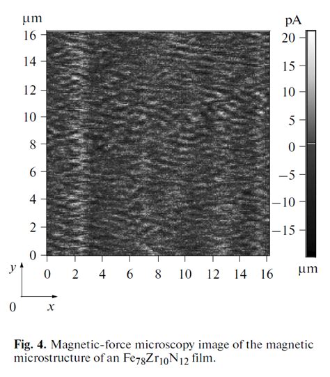 Magnetic Force Microscopy Image Of The Magnetic Microstructure Of An