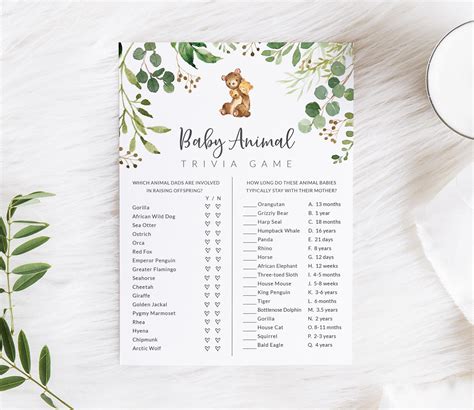 Bear Themed Baby Shower Games Bundle Bear Baby Shower Game Etsy