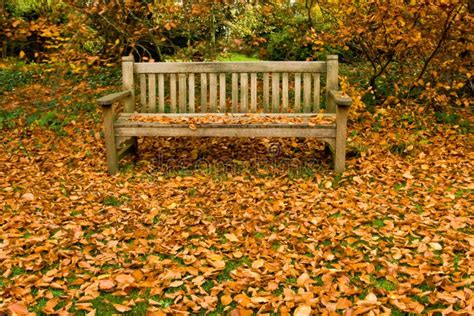 Park Bench in Autumn stock photo. Image of lawn, fall - 11495284