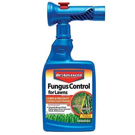 Bioadvanced Fungus Control For Lawns Ready To Spray 32 Oz 687073012705 Ebay