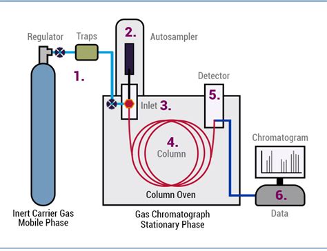 Gas Chromatography Instrumentation Diagram