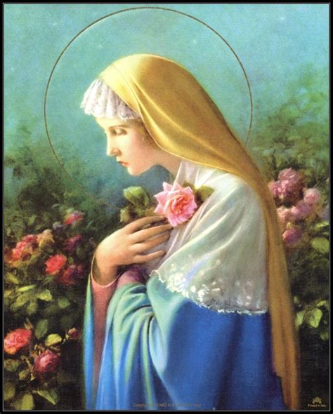 Rosa Mistica 8 X 10 Catholic Picture Print Blessed Virgin Mary