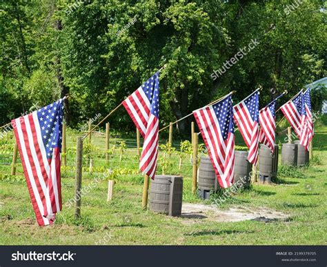 American Flags Flying On 4th July Stock Photo 2199379705 | Shutterstock