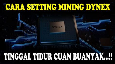 Cara Setting Mining Dynex Di Hiveos Dynex Mining Pool Dynex Coin