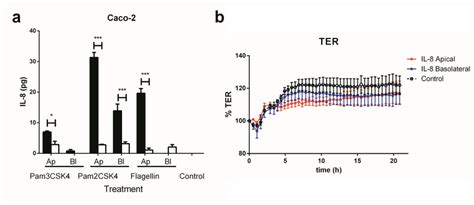 Secretion Of Il 8 In Polarized Caco 2 Bbe Intestinal Epithelial Cells Download Scientific