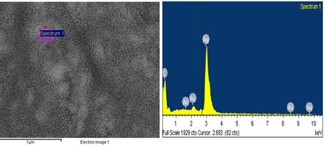 Sem Image And Corresponding Eds Spectra For Chitosan Agnp Composite Download Scientific Diagram