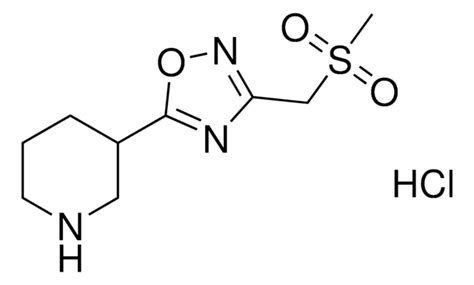 3 Methylsulfonyl Methyl 5 Piperidin 3 Yl 1 2 4 Oxadiazole