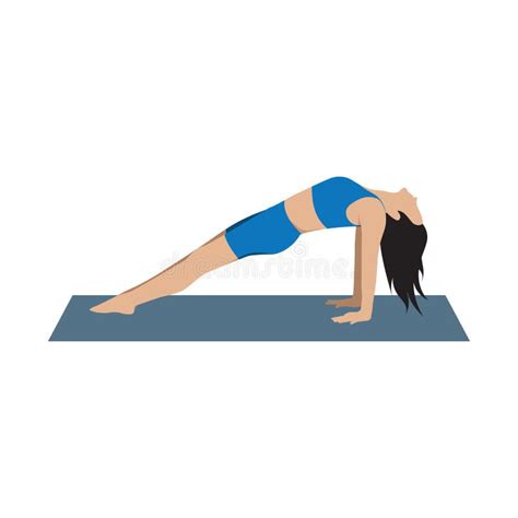 Woman In Yoga Reverse Plank Position Vector Illustration Decorative