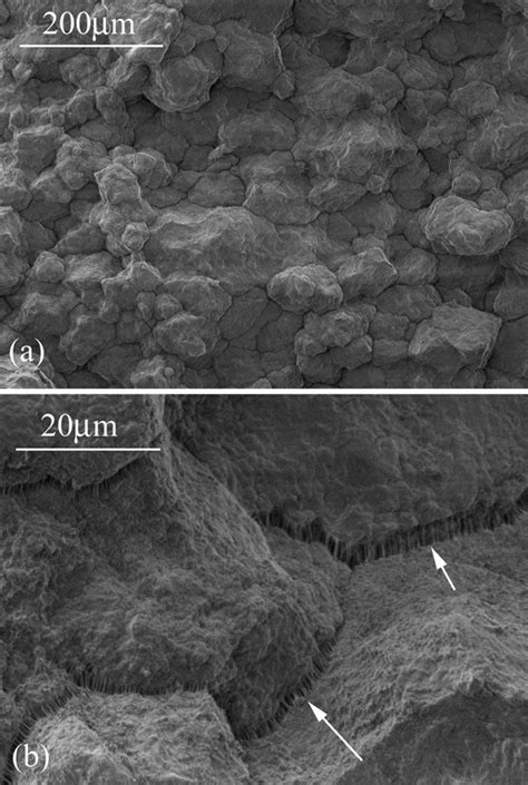 Lvsem Fracture Surface Observation Of Brittle Sample A A Download Scientific Diagram