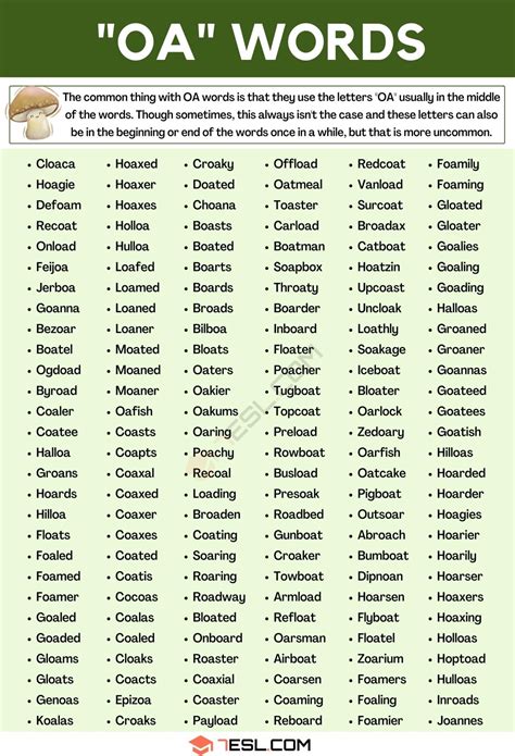 Oa Words 800 Words In English • 7esl