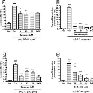 Effect Of Berberine On MRNA Expression Of Stat1 Stat3 Chop And Fas