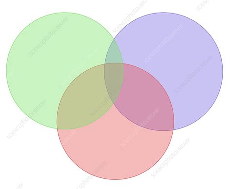 Venn Diagram Stock Image F0213864 Science Photo Library