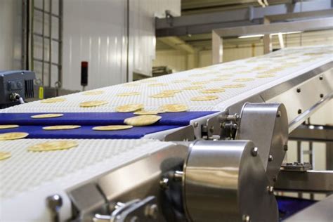 Food Conveyor Systems Flexcam