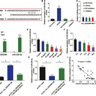 Circ 0002984 Acts As A Sponge Of MiR3263p A The Putative Binding