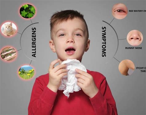 Pr Vention Des Allergies Chez Les Enfants Que Disent Les Donn Es