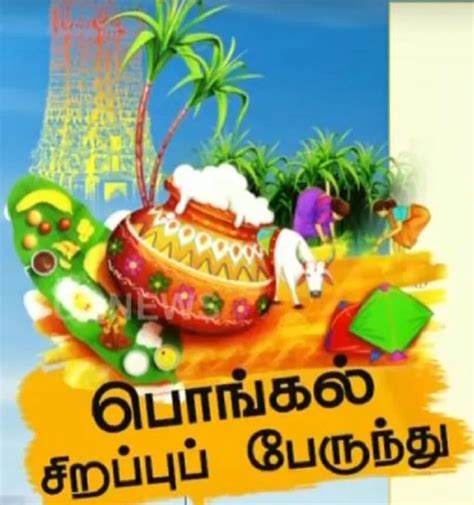 பொங்கல் சிறப்பு பேருந்துகள் குறித்த விவரங்கள் Details About Pongal